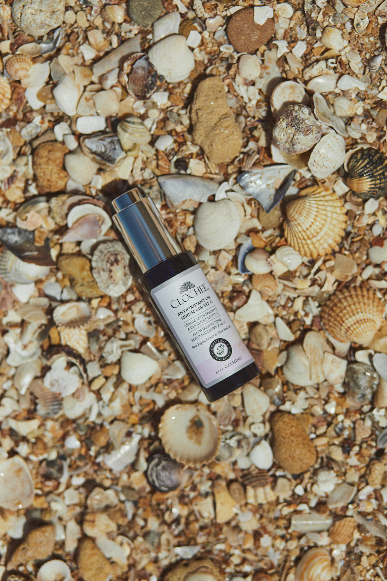 Produkt Clochcee Cosmetics na plaży z muszlami i kamieniami